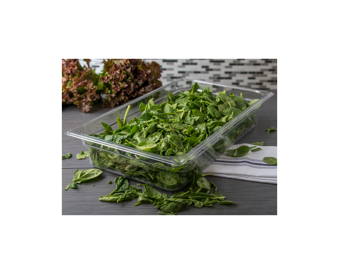 INSERTO ENTERO POLICARBONATO TRANSPARENTE