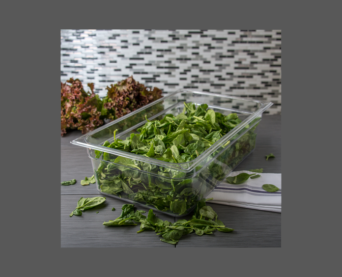 INSERTO ENTERO POLICARBONATO TRANSPARENTE