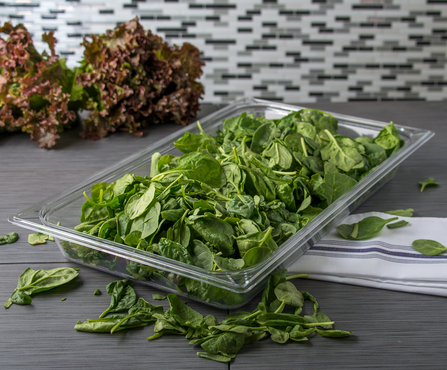 INSERTO ENTERO POLICARBONATO TRANSPARENTE