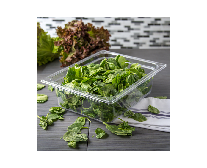 INSERTO MEDIO POLICARBONATO TRANSPARENTE