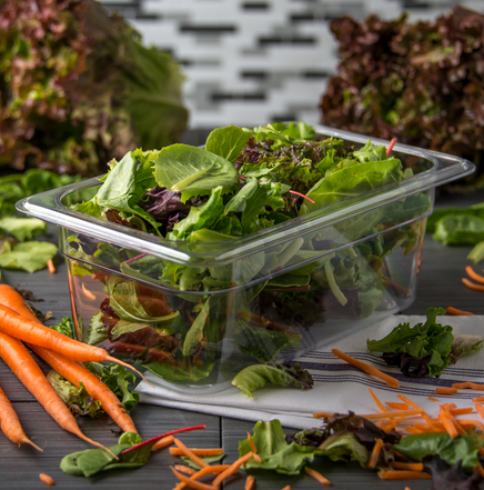 INSERTO CUARTO POLICARBONATO TRANSPARENTE