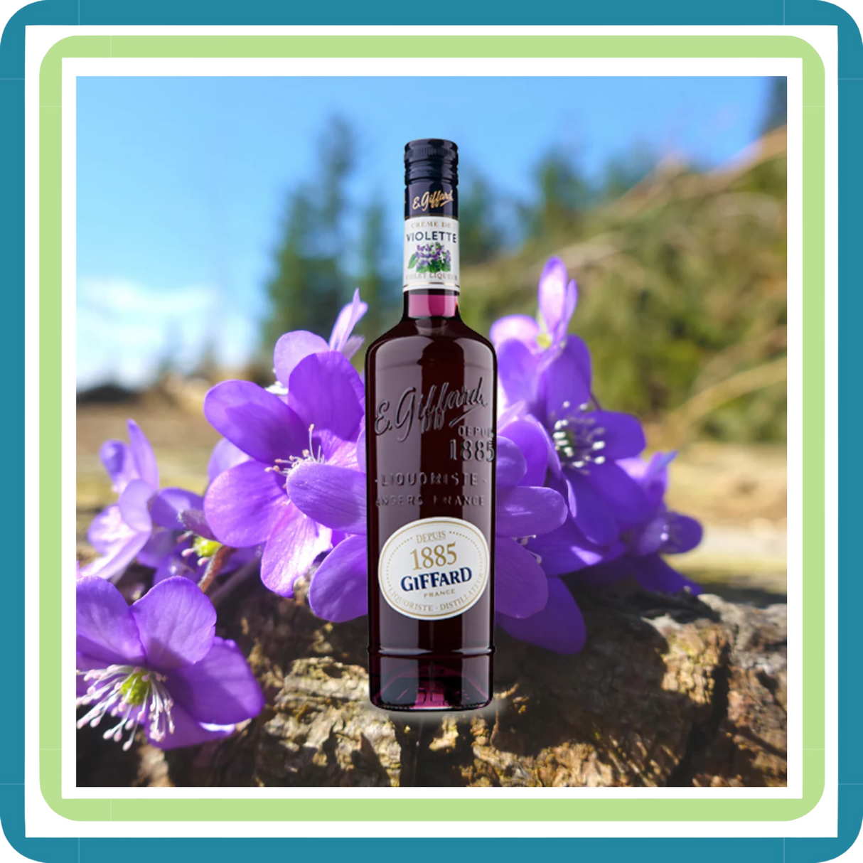 Pack de 6 Licor Giffard Violette 700 Ml