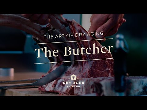 DRYAGER DX0500PS AÑEJADOR CARNE 20 KG ACERO INOXIDABLE